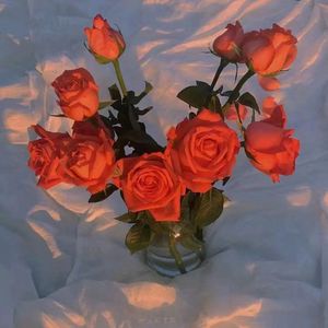 东北肥熟吞精对白
